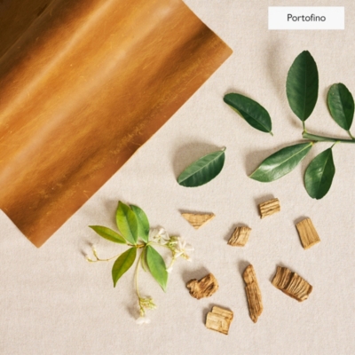 Edit Collection Discovery Hamper