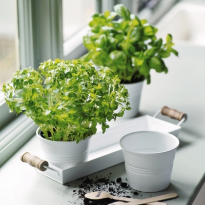 Enamel Herb Pots with Tray Home Decor The White Company US