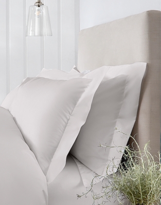 Essentials Egyptian Cotton Classic Pillowcase – Single