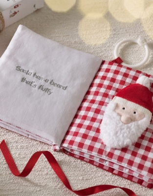 Festive Friends Soft Storybook