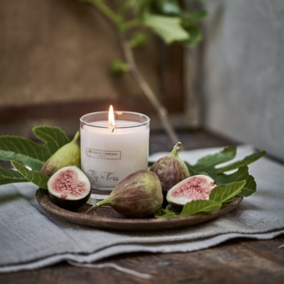 Fig Tree Signature Candle Candles & Fragrance Sale The White Company UK