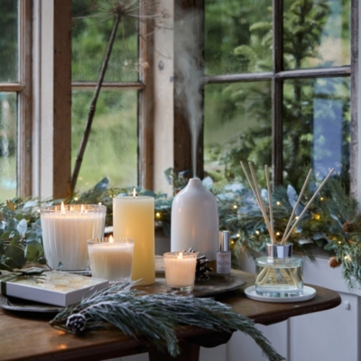 Fir Tree Candle New In Candles & Fragrance The White Company US