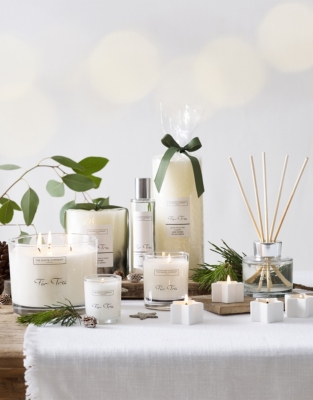 Fir Tree Collection