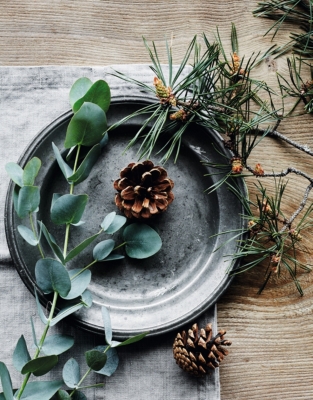 Fir Tree Fragrance Oil