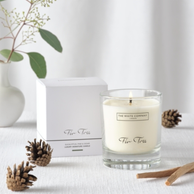 Fir Tree Luxury Signature Candle