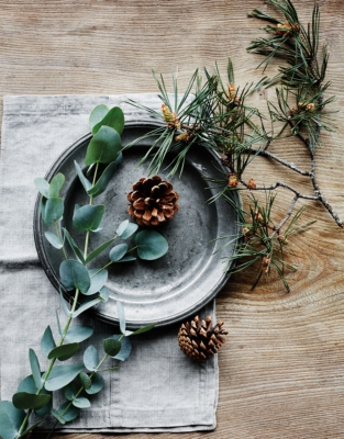 Fir Tree Tealights – Set of 12