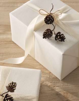 Frosted Pine Cone Toppers – Set of 6