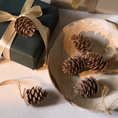 Frosted Pinecone Decorations – Set of 6