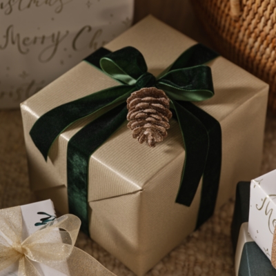 Frosted Pinecone Decorations – Set of 6