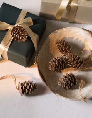 Frosted Pinecone Decorations – Set of 6