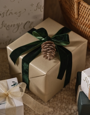 Frosted Pinecone Decorations – Set of 6