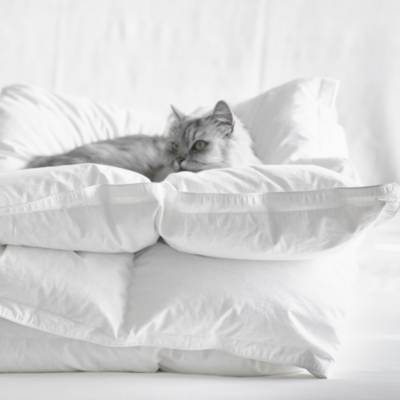 white company goose down duvet