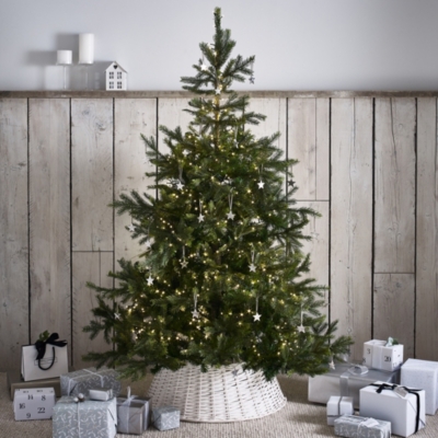 Grand Spruce Christmas Tree - 6ft | Christmas Trees | The White Company UK