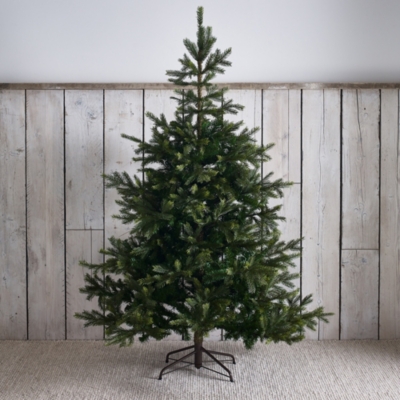 Grand Spruce Christmas Tree 6ft Christmas Trees The White Company UK