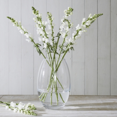 Hambledon Large Vase Vases The White Company Uk