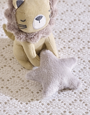 Jitter & Rattle Pram Set