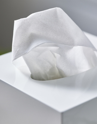 Lacquer Tissue Box Cover