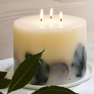 Lime & Bay Botanical Large Candle Candles & Fragrance Sale The