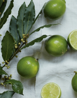 Lime & Bay Hamper