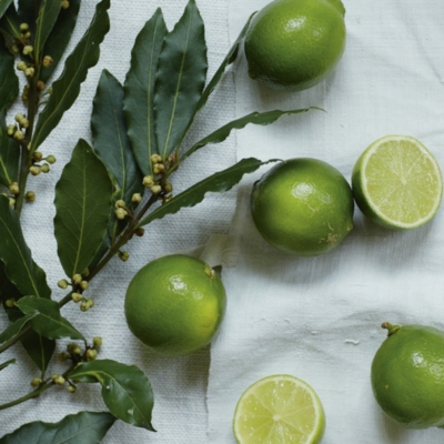 Lime & Bay Soap