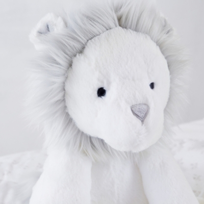 white company teddy
