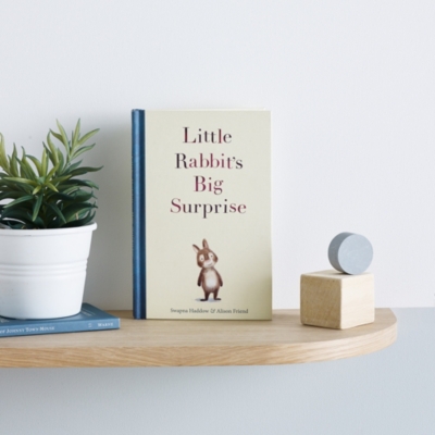 Little Rabbit's Big Surprise Book by Swapna Haddow & Alison Friend