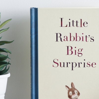 Little Rabbit's Big Surprise Book by Swapna Haddow & Alison Friend