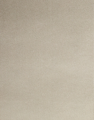 Metallic Champagne Wrapping Paper – 10m