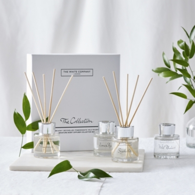 Mini Diffuser Collection Gift Set