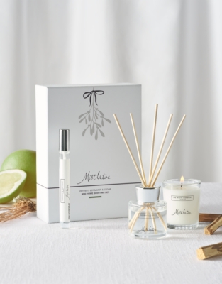 Mistletoe Mini Home Scenting Set