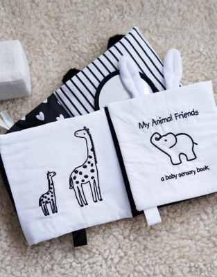 My Animal Friends Baby Sensory Book