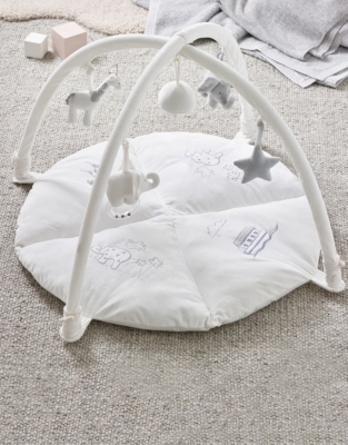 Noah’s Ark Activity Gym