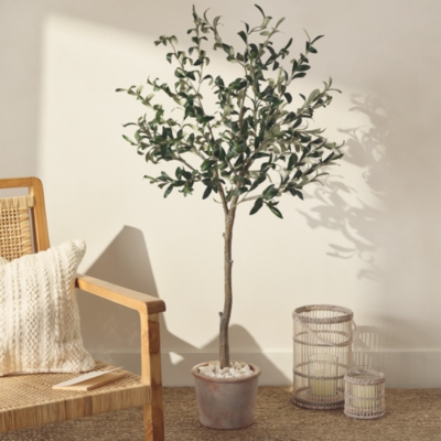 Olive Potted Tree