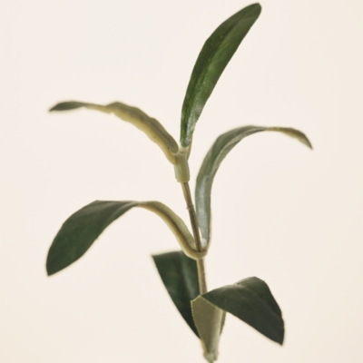 Olive Potted Tree