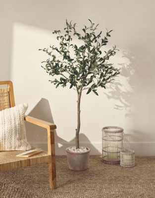 Olive Potted Tree