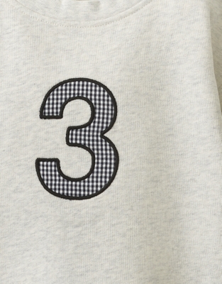 Organic Cotton My 3rd Birthday Sweatshirt & Crown Set (2–4yrs)