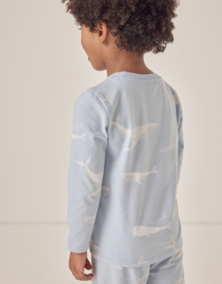 Pale Blue