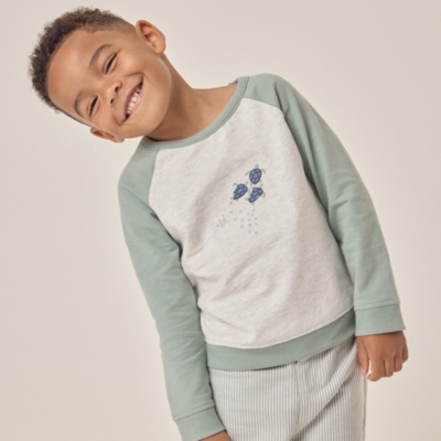 Organic Cotton Turtle Sweatshirt & Striped Twill Pants Set (18mths–6yrs)