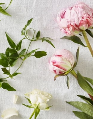 Peony Bath & Shower Gel