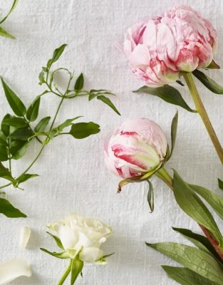Peony Diffuser