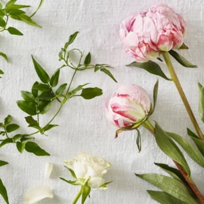 Peony Fragrance Oil