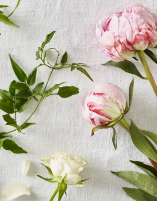 Peony Hand Wash