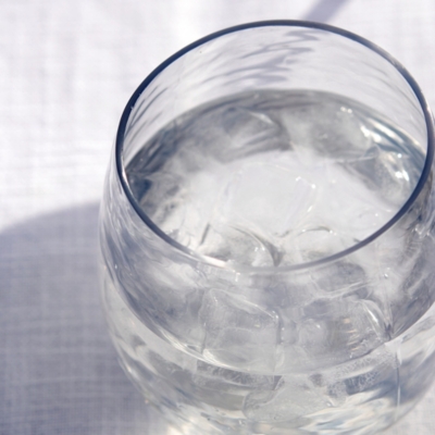 Picnic Tumbler Glass