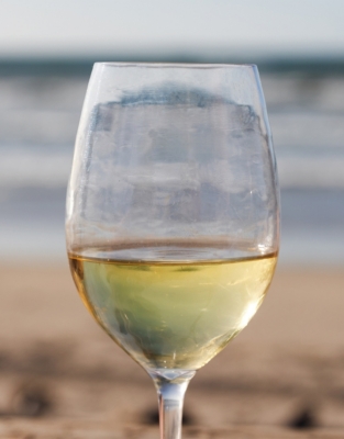 Picnic Wine Glass - White