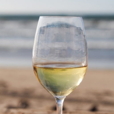 Picnic Wine Glass