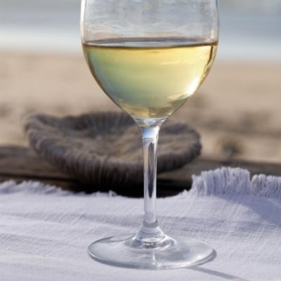 Picnic Wine Glass