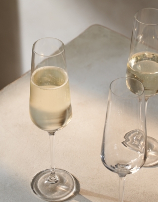 Pimlico Champagne Flute Glasses – Set of 4