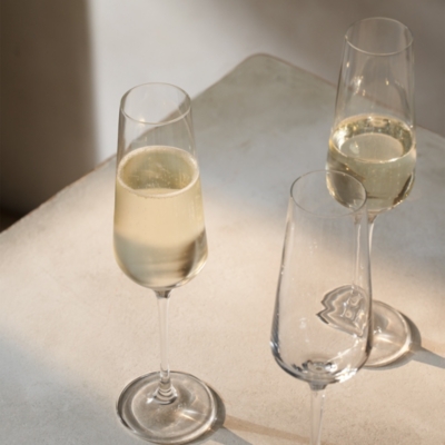 Pimlico Champagne Flute Glasses – Set of 4