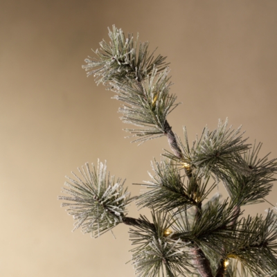 Pre-Lit Frosted Branch