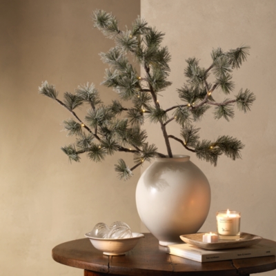 Pre-Lit Frosted Branch